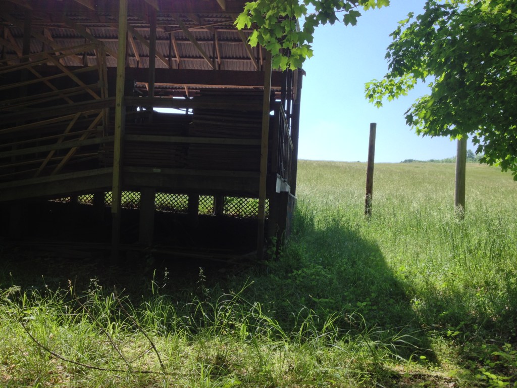 Photos of summer&nbsp;#2